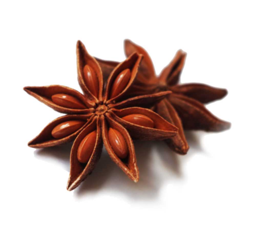 star-anise-1049585_1280